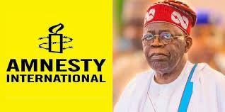 NSA Invites Amnesty International for Consultative Meeting Following Insecurity Report