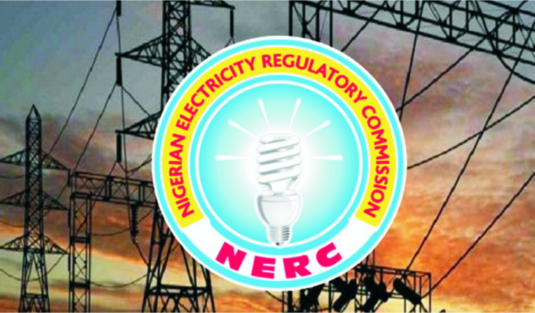 NERC Issues Guidelines For Technical Audit of Transmission Network
