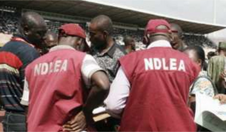 NDLEA Nabs Suspected Drug Peddler in Kano