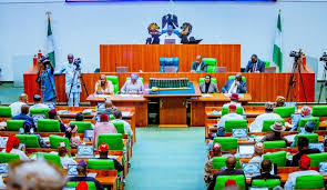 Area Council Chairmen Face Reps Over Alleged N100bn Financial Breaches