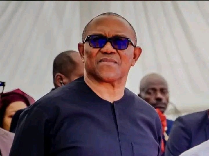 Crime Has No Tribe, Peter Obi Warns as He Condemns Ethnic Profiling