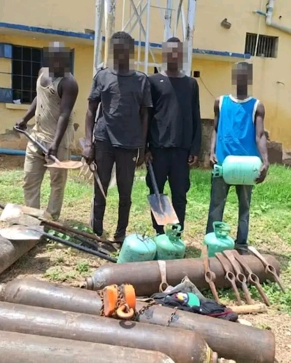 Police Arrest 7, Recover 285 Vandalised NNPC Pipelines in Adamawa