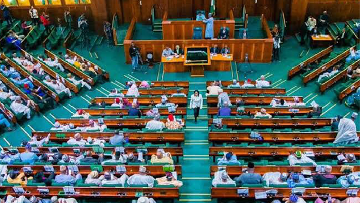 PFIPC Scandal: Reps Invite Foreign Affairs Minister, NSA For Investigative Session Thursday